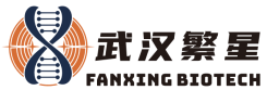 武汉繁星生物科技有限公司