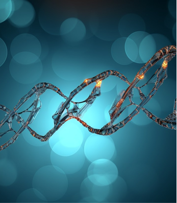 Starlight mRNA转染试剂