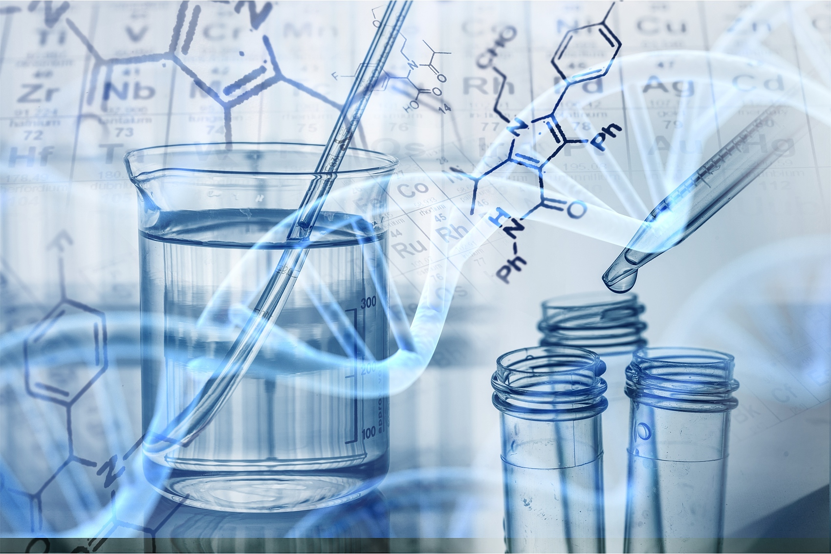 KO细胞株定制服务